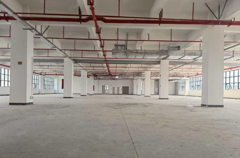 8元厂房低价出租免租6个月