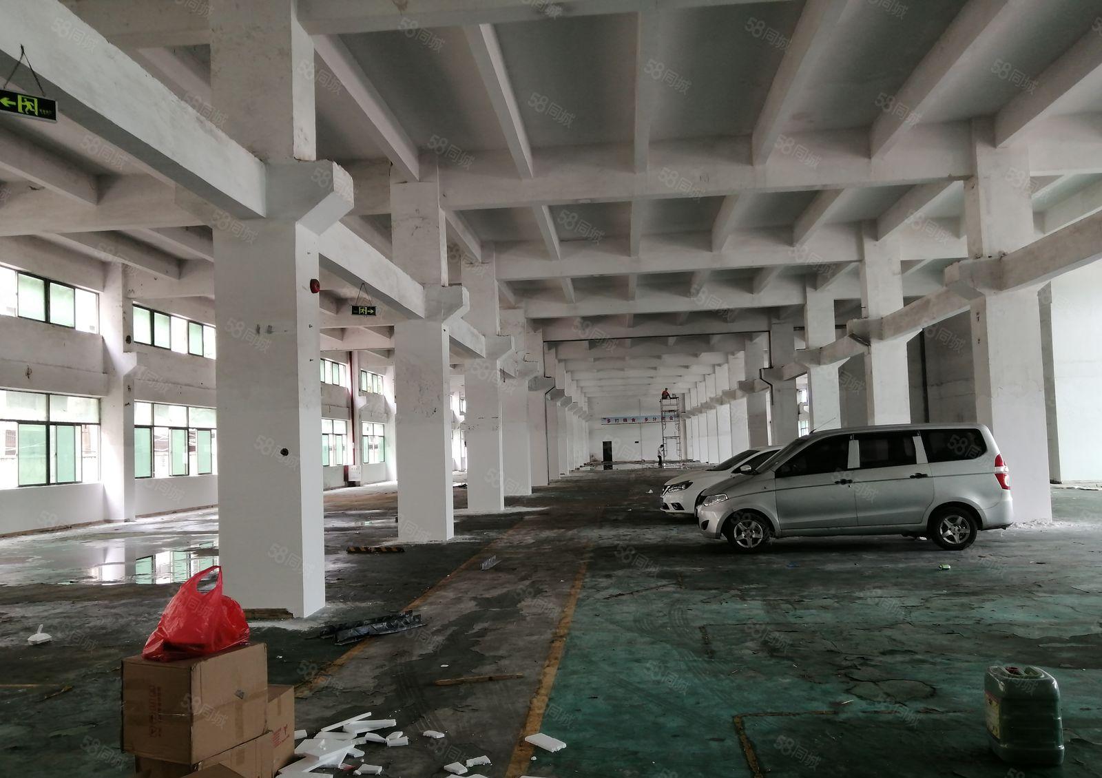 升华工业园一楼3000平带牛角层高7米有环评带装修招租