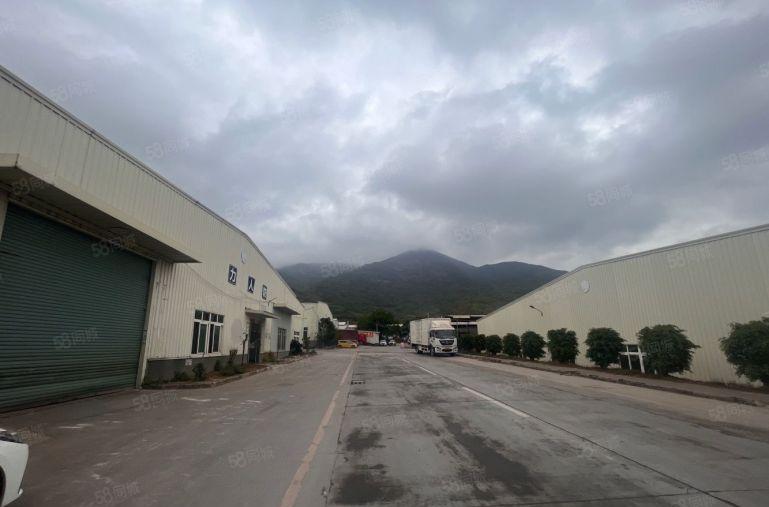 临莞陈江原房东独门独院钢构5000平300平起分高度11米