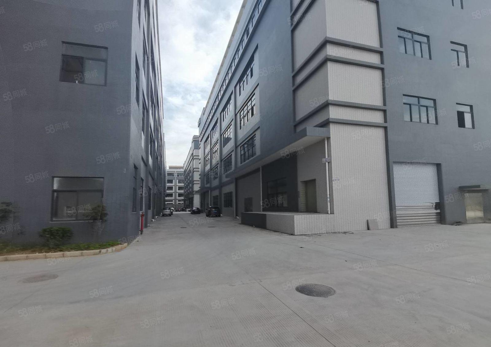 陈江惠环原房东工业园5万平红本厂房出租500平起分租一楼7米