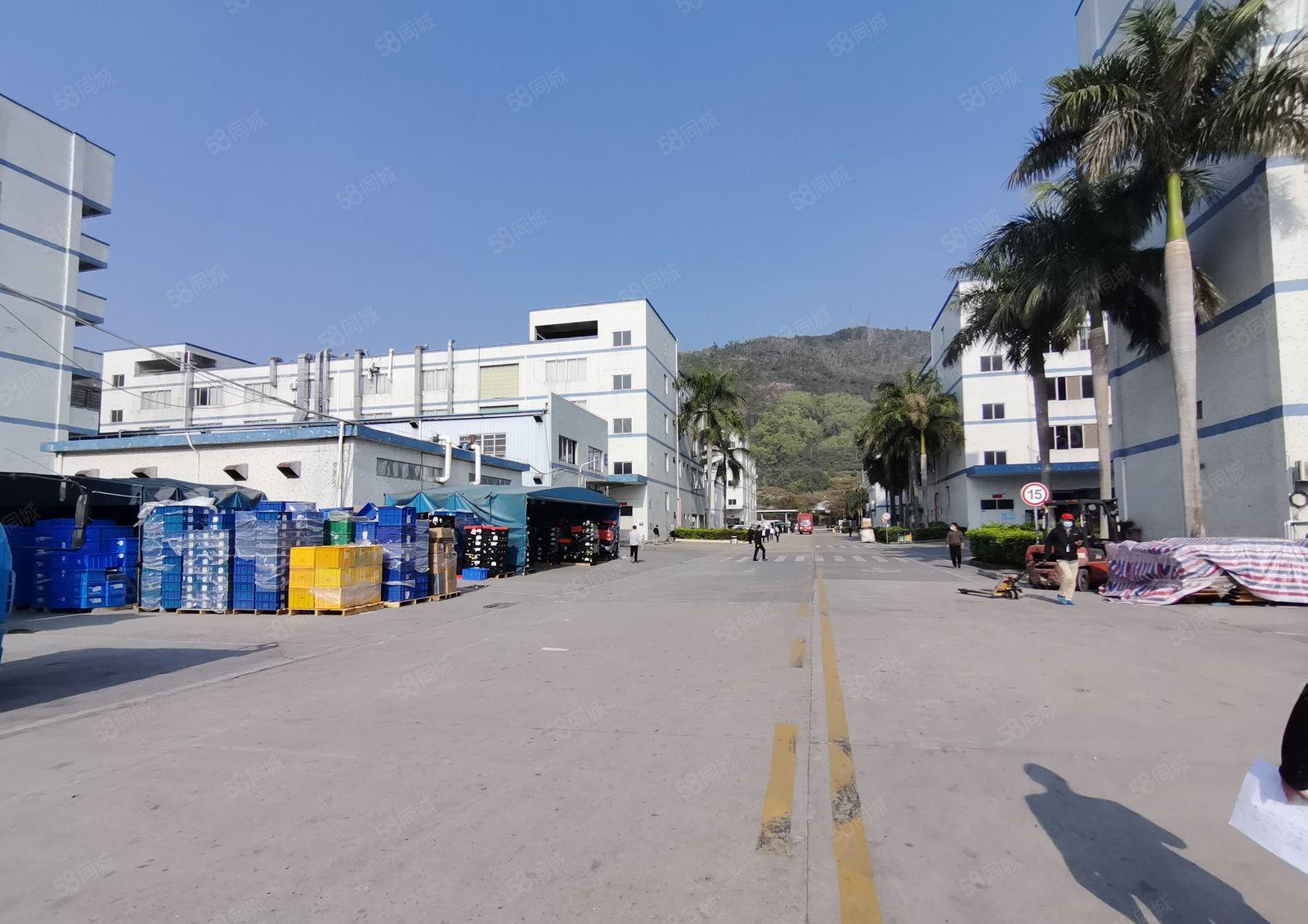 长深高速口国有工业生产厂房出租一次性拎包入驻大面积可选