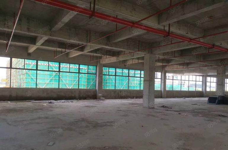 仲恺高新区沥林 全新独院厂房  原房东 可分租