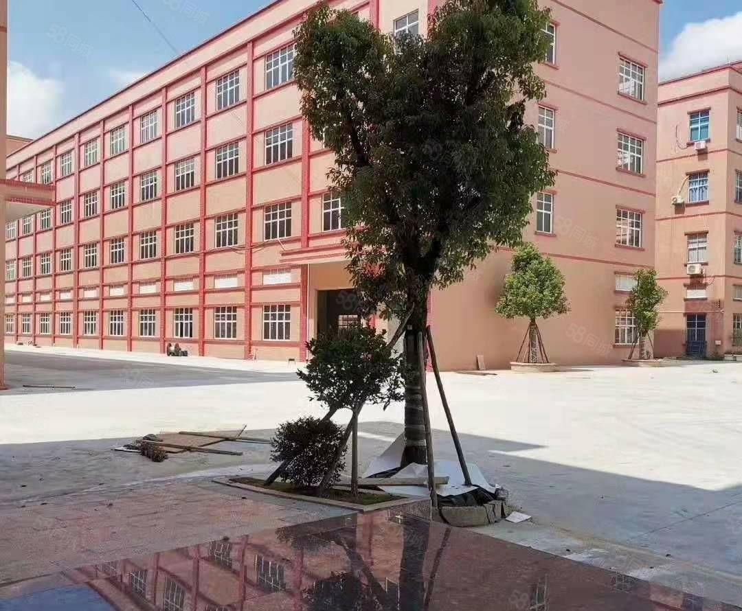 惠州市仲恺高新区原房东独门独院32000平方全新标准厂房招租