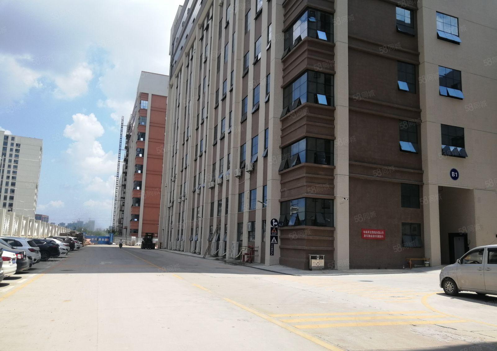 13元起租陈江原房东厂房1000平米起租证件齐全可办环评仓库