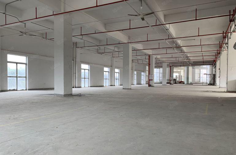 (9元)仲恺高新区红本厂房1500平出租形象好不限行业