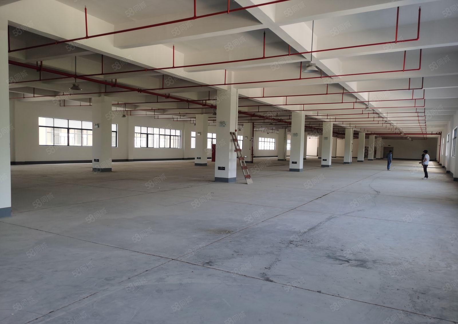 陈江东升工业区全新十万平米红本产权工业园招租！分租一千平米起