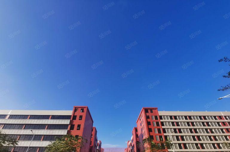 原房东32500平全新厂房靠国道边大小可以租