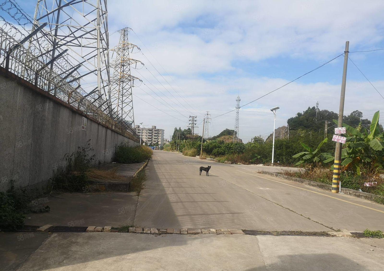 惠州仲恺陈江沥林1300平钢构独院厂房出租空地大12元每平