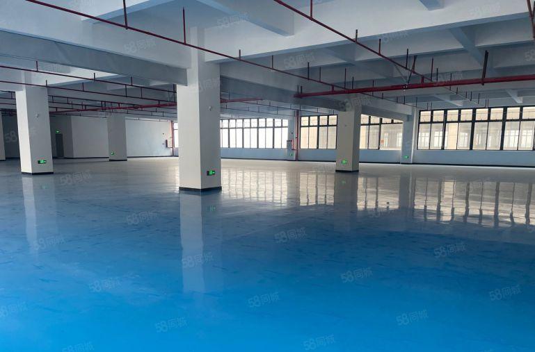 只要6块 惠环原房东单层面积2000平厂房实际面积低价出租