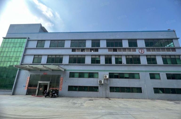 惠城新出独栋厂房10米高仓库低价出租大小可分租空地大