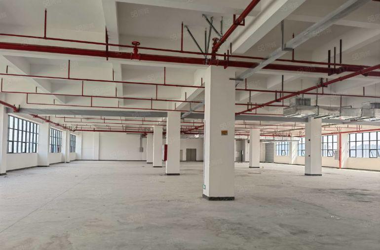 8元厂房低价出租免租6个月