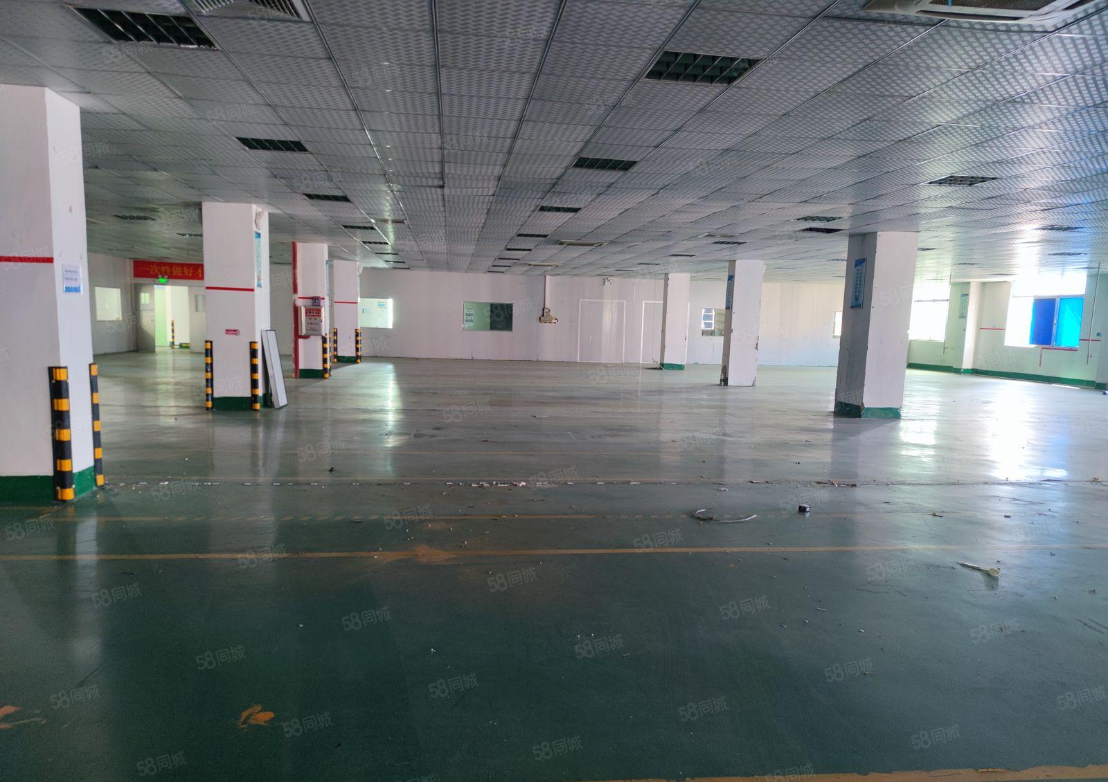 惠州市沥林标准厂房15000平方，证件齐全！可办环评！易招工