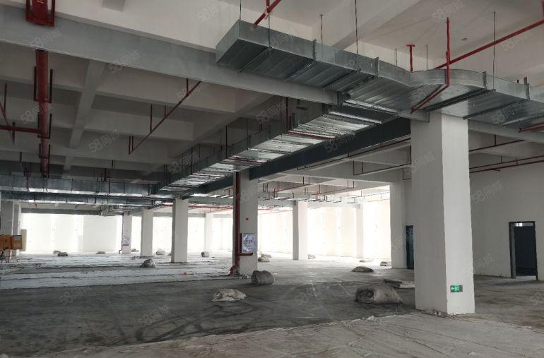 惠州市仲恺区陈江高标准原房东厂房出租，首层层高10.5米