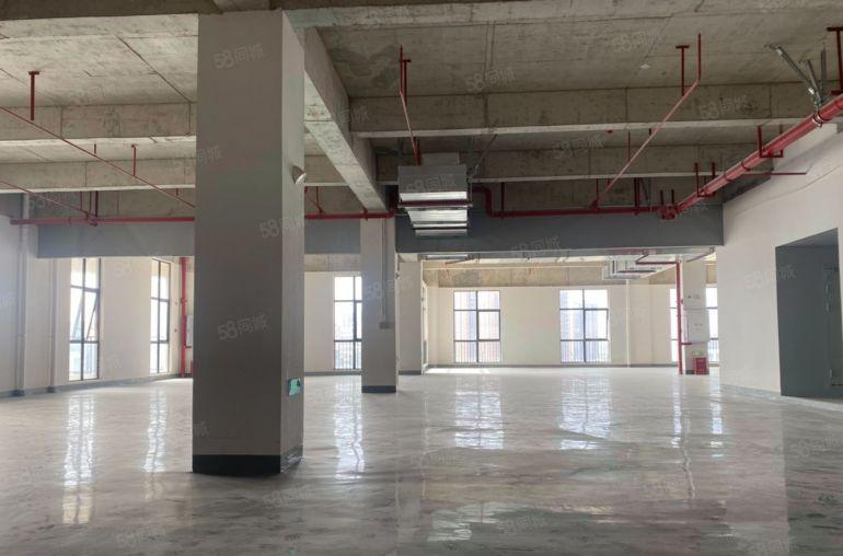 惠州陈江全新标准楼上厂房800平 彩光好 阳台超大