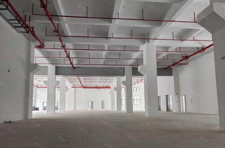 独门独院原房东全新厂房出租，惠州市仲恺高新区，可分独院