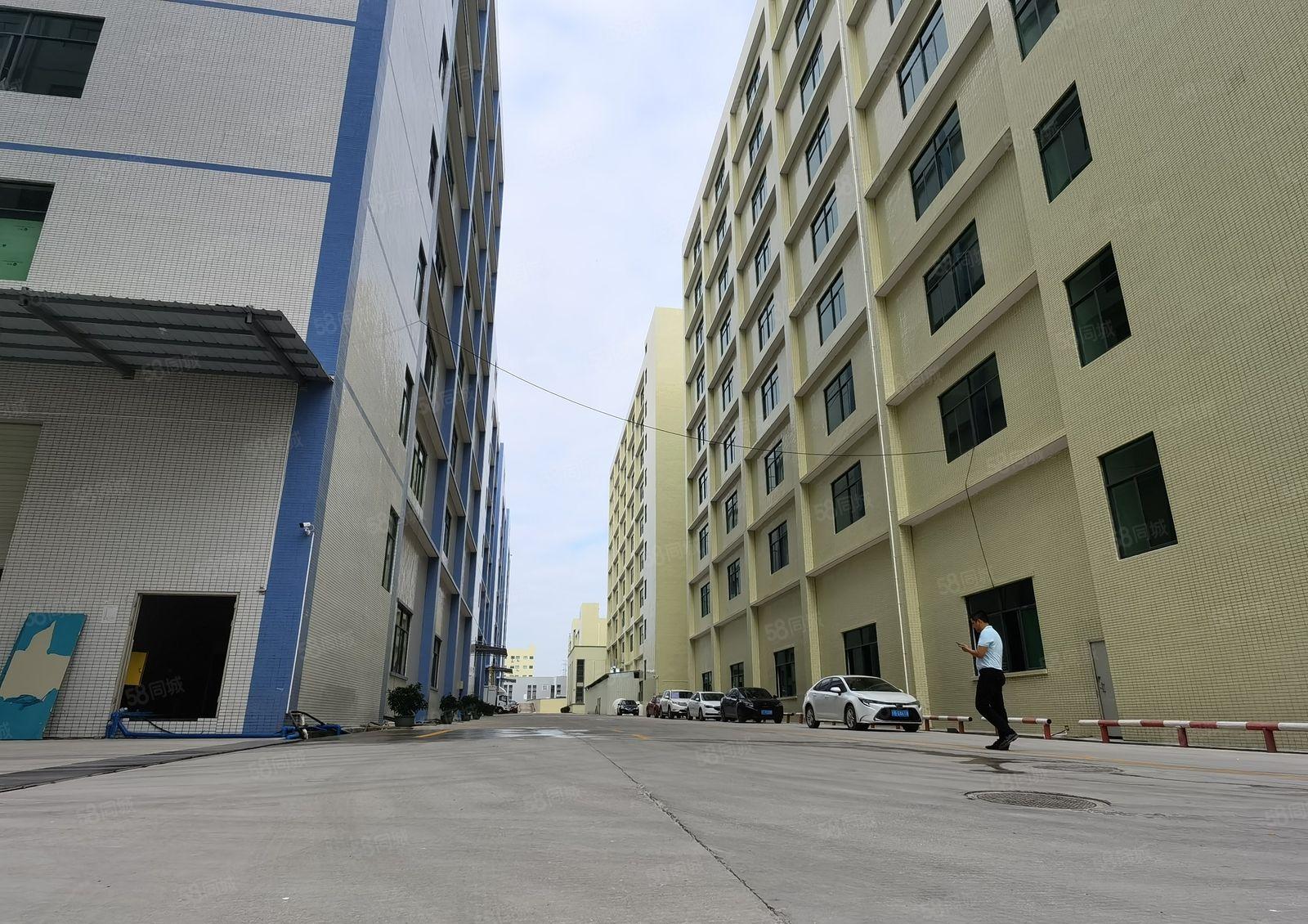 10元低价厂房出租仲恺沥林高速路口2000平方可分租