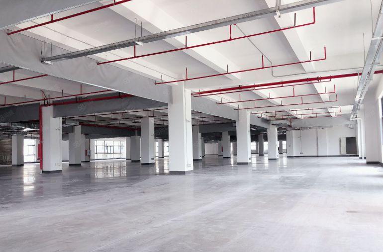 仲恺全新园区，可做独院，现低价出租，1000平可分租