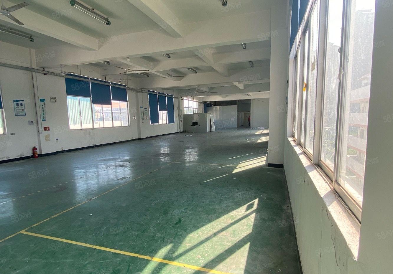 陈江工业区带装修550平楼上厂房出租