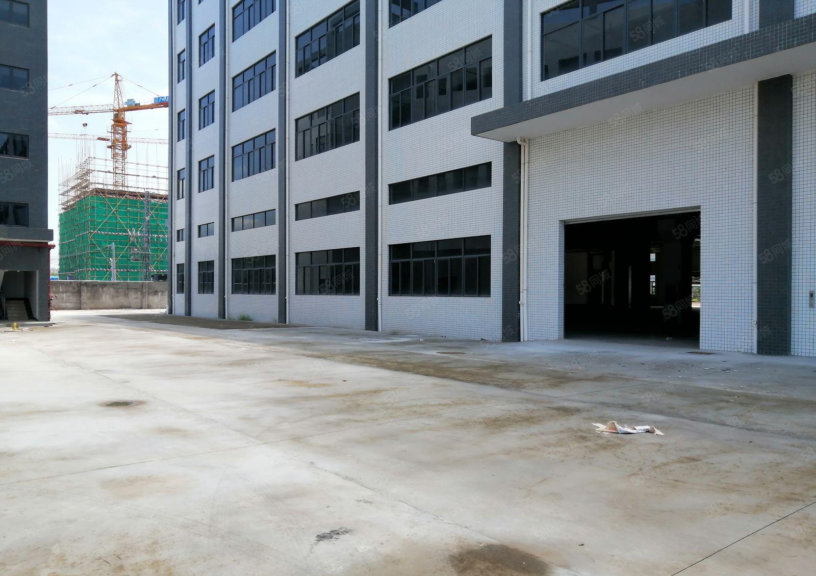 陈江万盛兴工业园78000平一手房东招租，可分租一楼层高6米