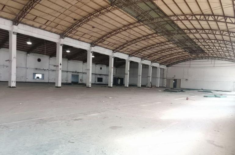 沥林镇带卸货平台厂房出租，滴水12米单一层厂房，可做物流运输