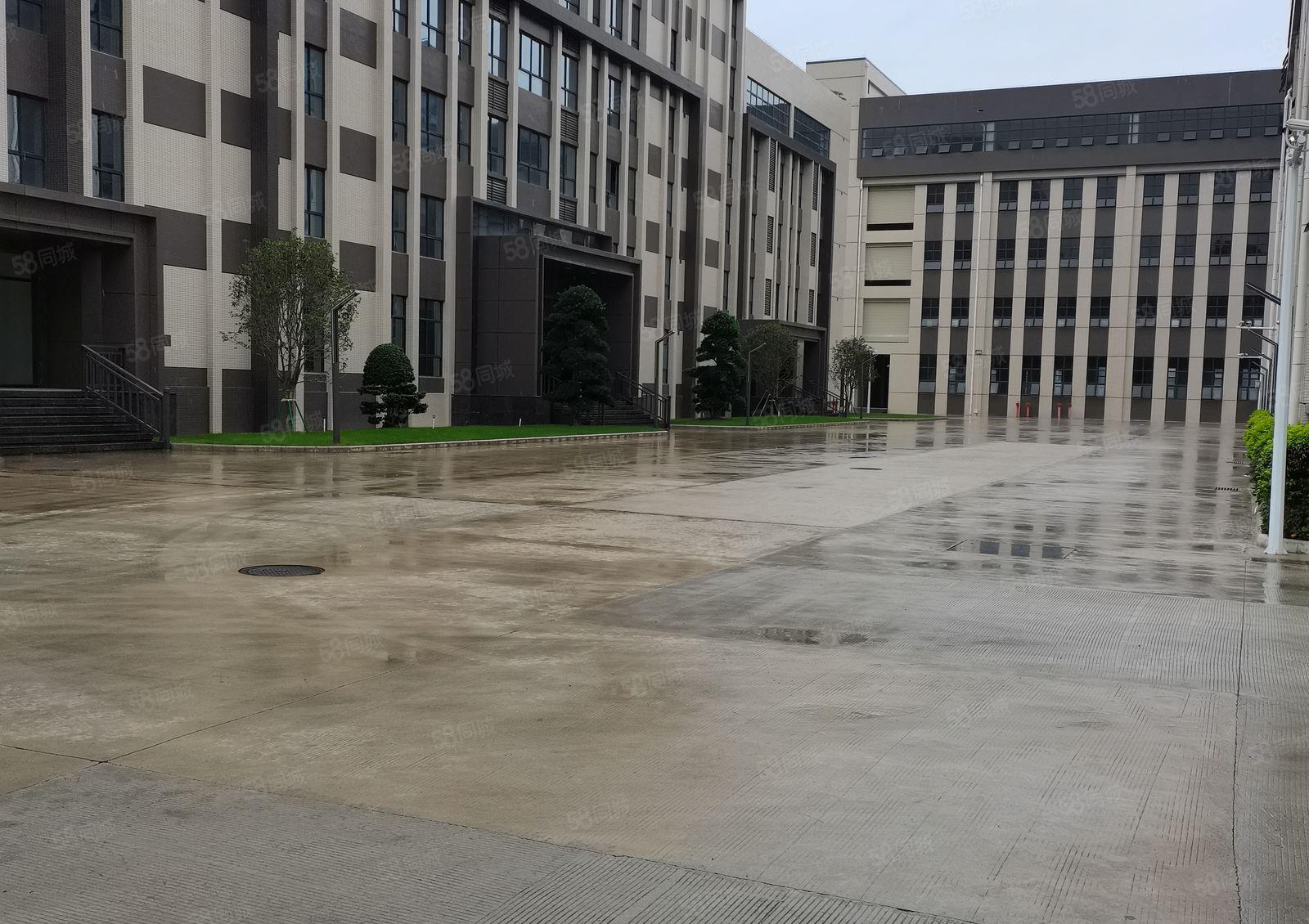 仲恺全新高新科技园三楼2000平米厂房仓库出租可办环评原房东