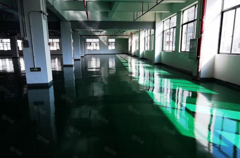 原房东仲恺区陈江镇全新地坪漆厂房出租