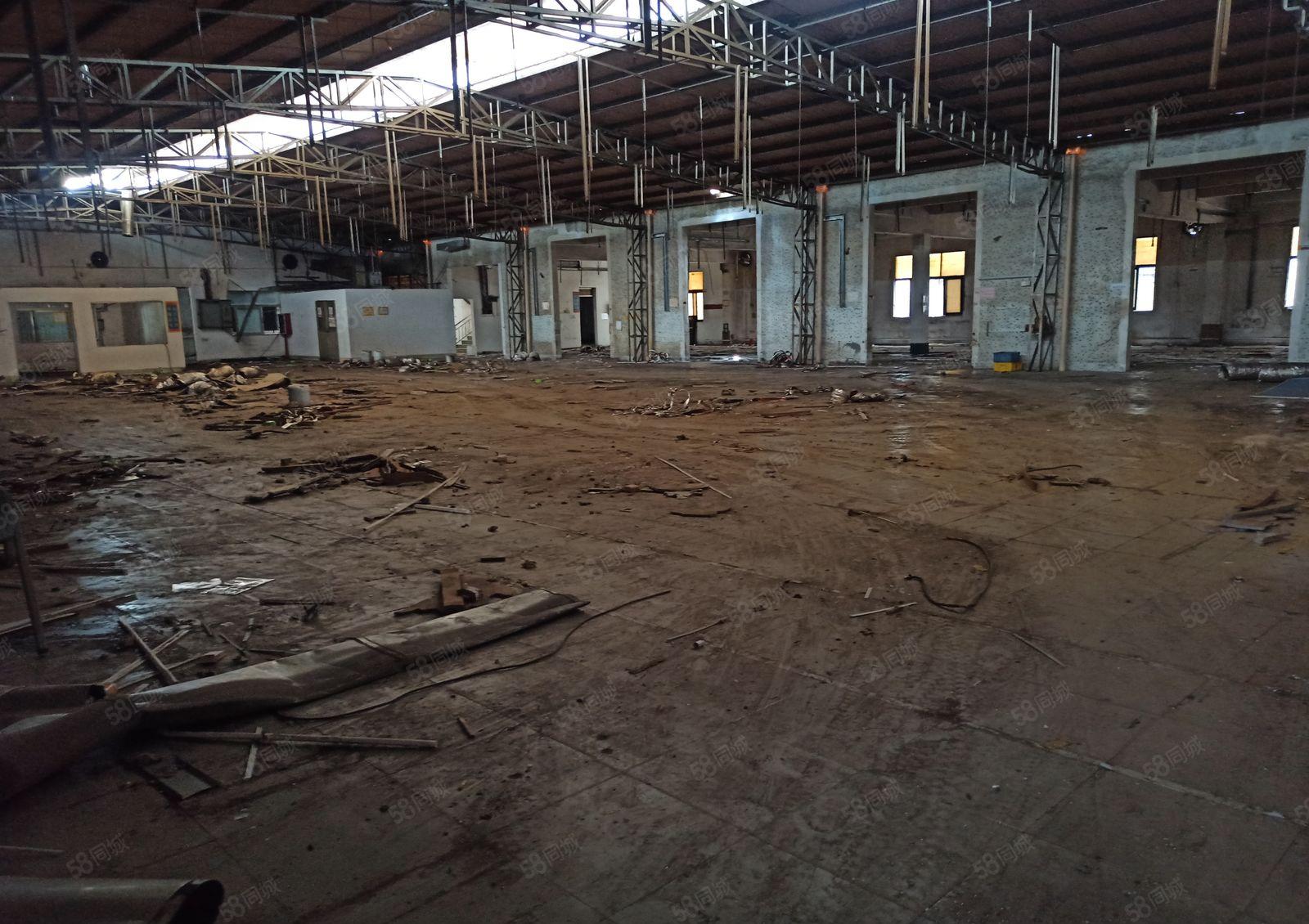 历林单层一楼厂房出租1600平可分租