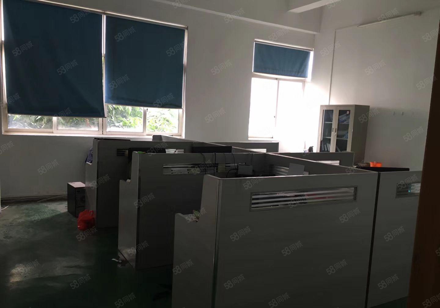 陈江大欣工业区原房东钢构厂房1000平方实际面积出租