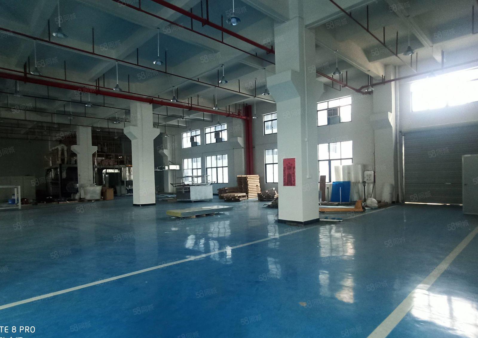 仲恺高新区工业园新出一楼3000平，可以分租