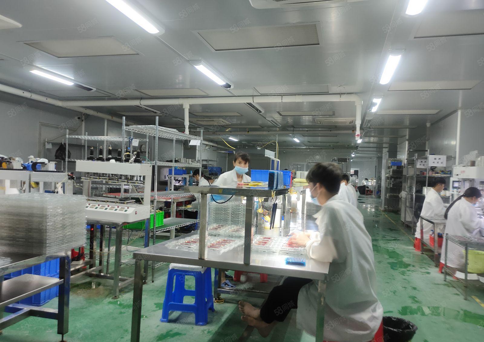 1000平方起分租大亚湾工业区2000平方原房东低价厂房出租