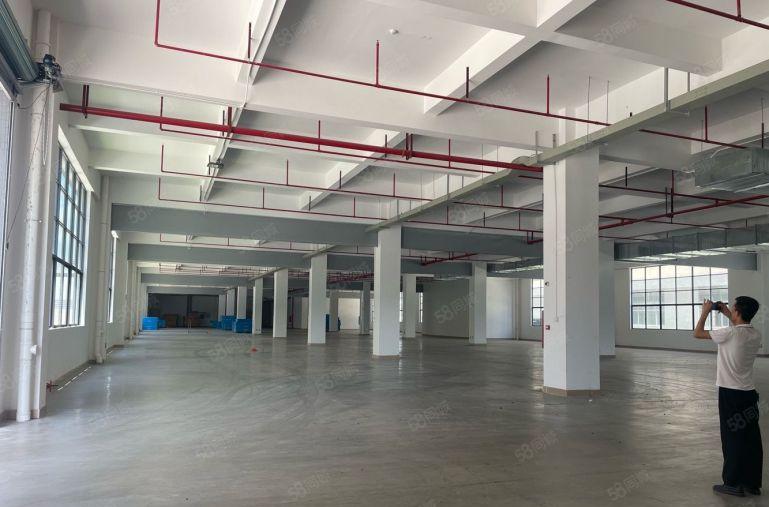 惠环原房东一楼标准厂房1000平，空地大，好进大车