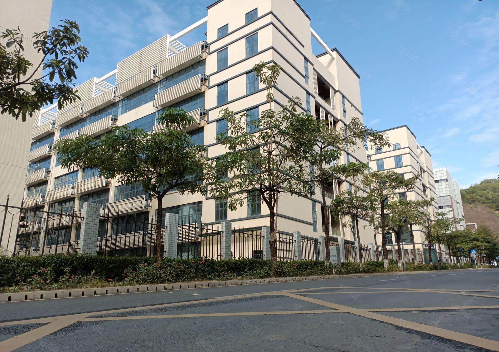 仲恺 沥林 高速路口 原房东 全新5000平方厂房出租可分租