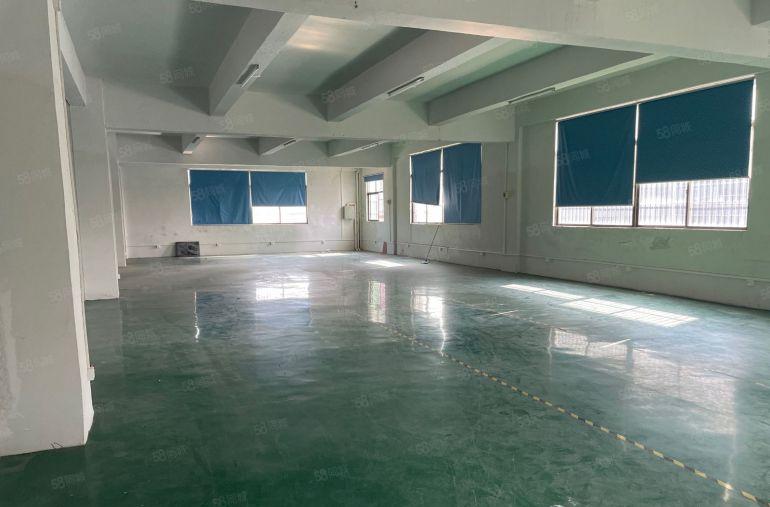 陈江新出原房东一整层带装修厂房600平方水电齐全