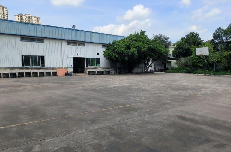 陈江单层钢构厂房13000平