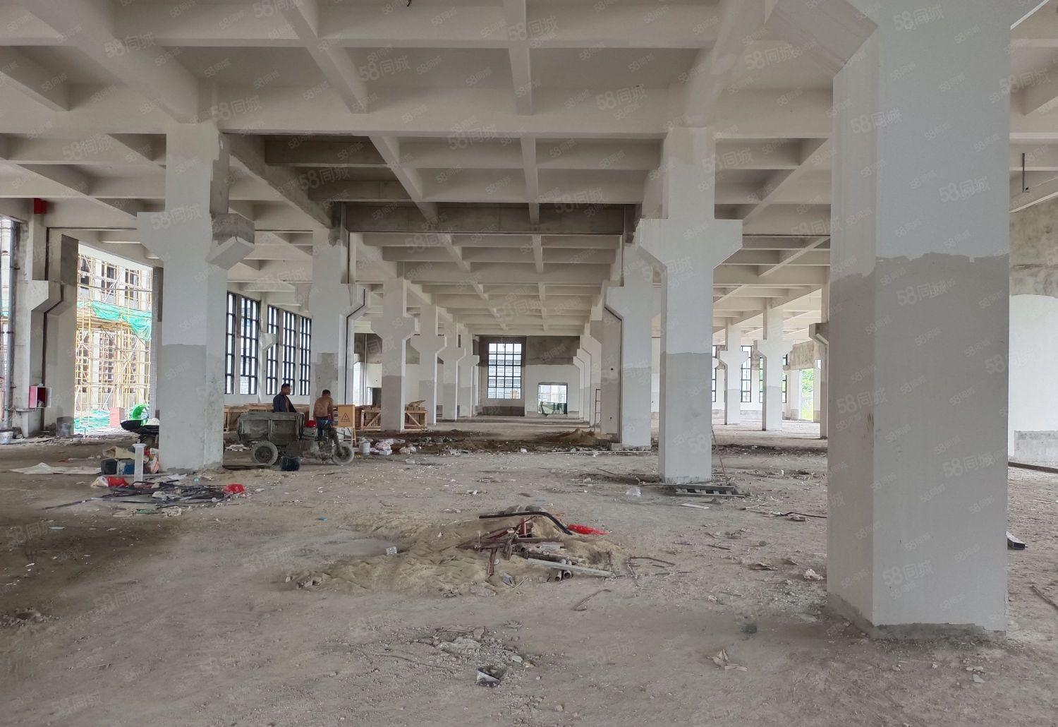 惠环镇新建红本厂房68000平方出租，证件齐全！可办环评