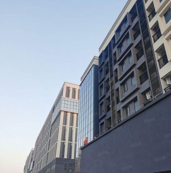 原房东一楼13000平方高度10米，双边卸货平台，自动升降