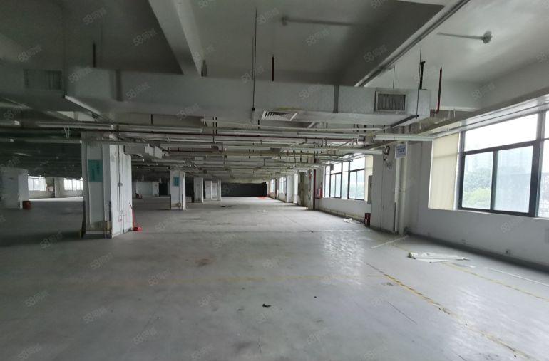 仲恺区陈江镇五一工业园区10000平方厂房出租