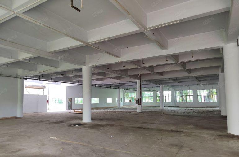 仲恺高新区陈江原房东厂房出租可环评滴水6.9低价大小可分