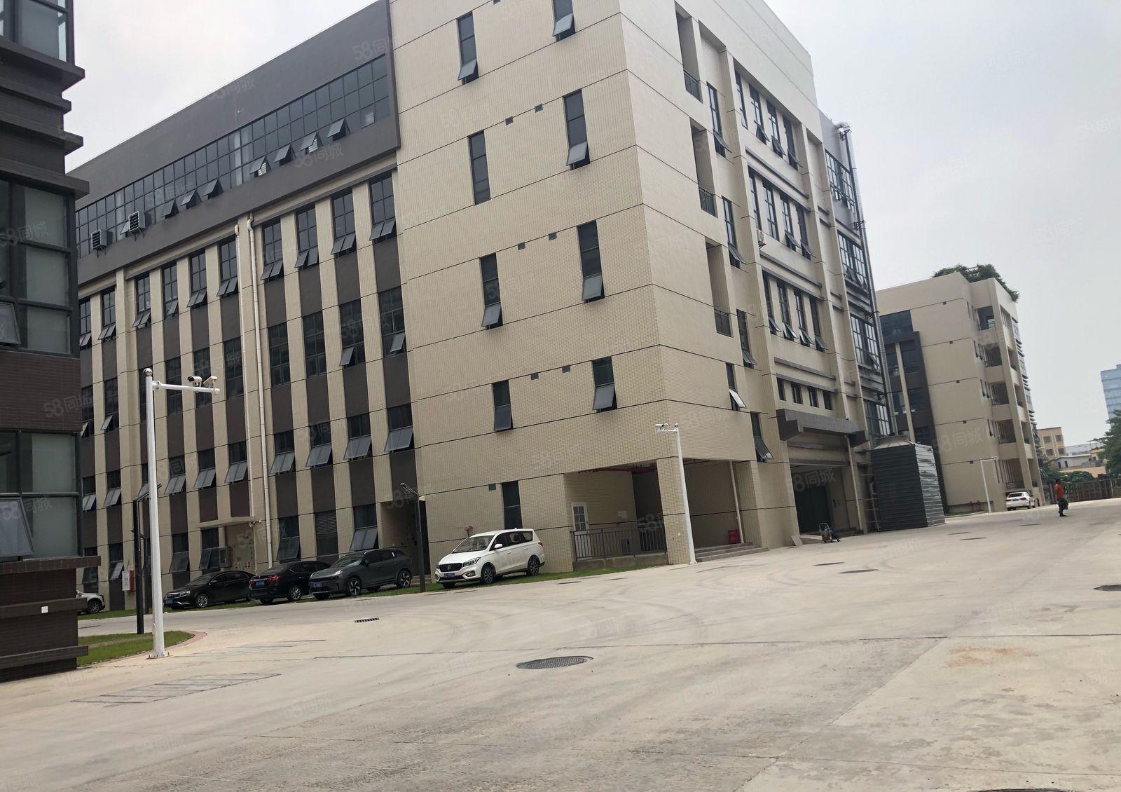 原房东仲恺平南工业区全新标准厂房3000平方一楼7米高带牛角