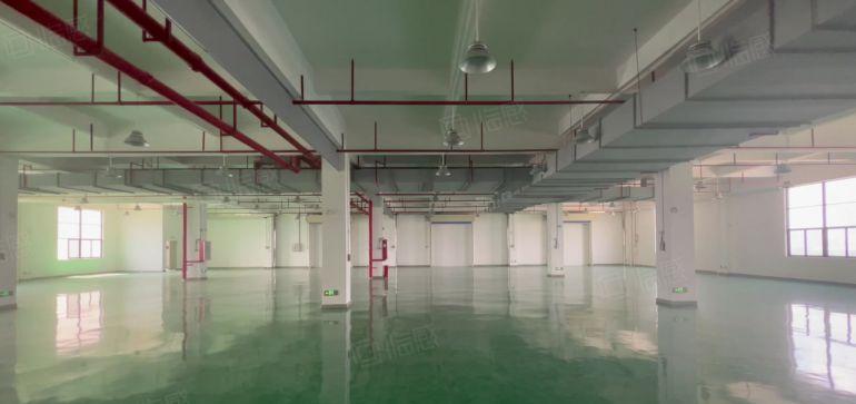 仲恺新出原房东8元厂房仓库低价出租带装修大小可分水电齐全