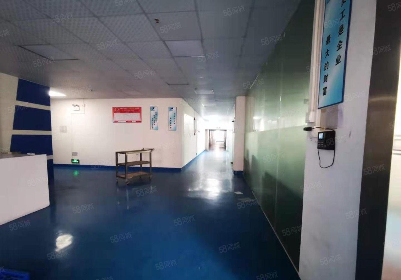 惠环工业园原房东一楼600平带装修厂房出租