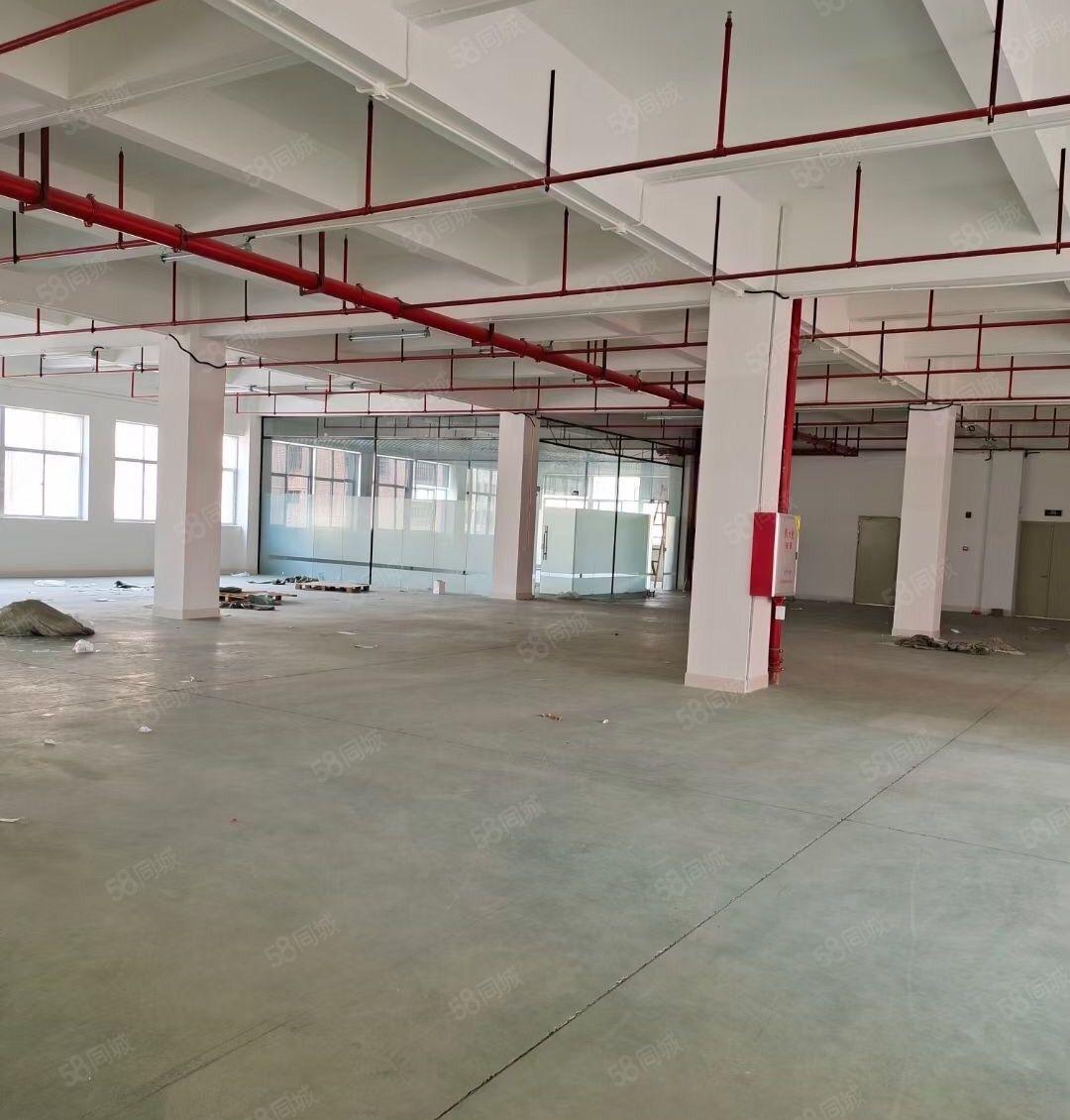 500平起租陈江五一楼上标准厂房1000平1500平出租