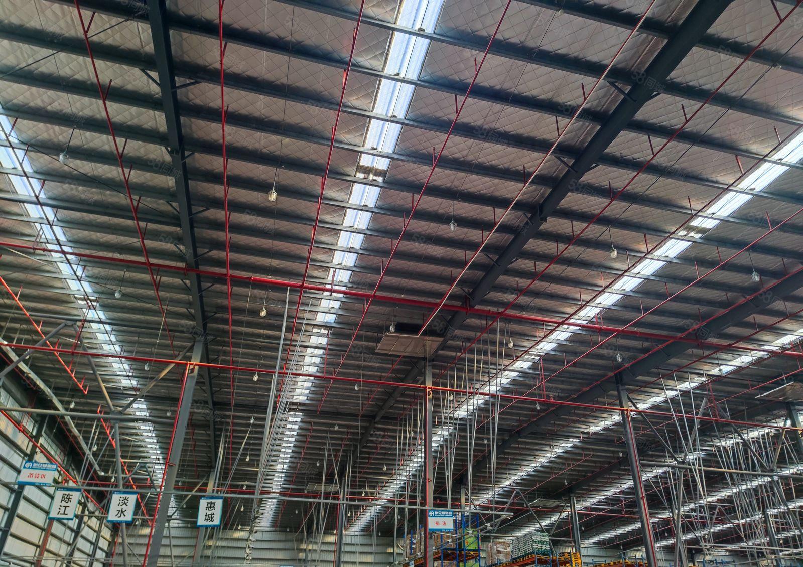 陈江镇新出12米钢构，独门独户！园区安全！有红本！