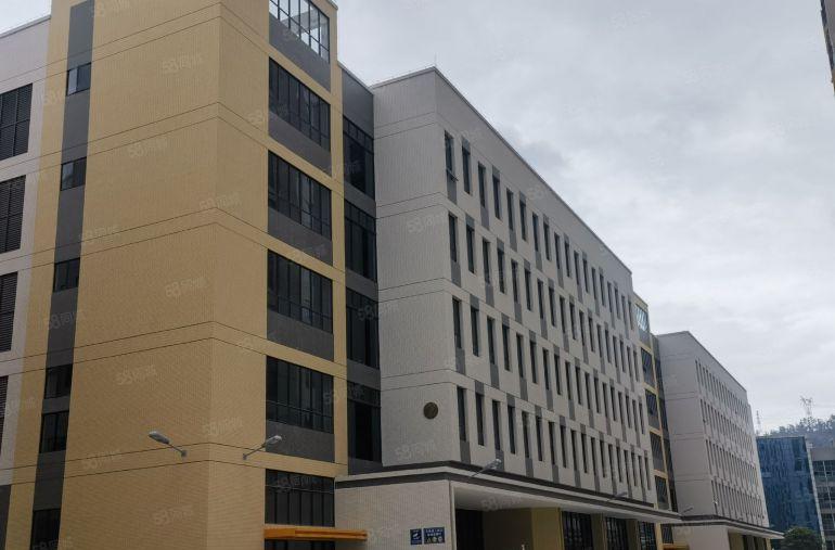 12块原房东实际面积！仲恺陈江高新产业园出租独栋全新厂房