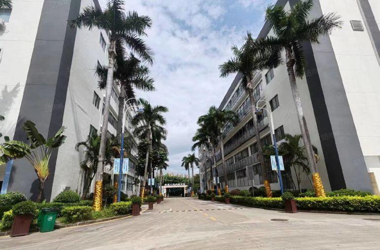 陈江高新区精装厂房楼上有红本工业厂房大小面积分租500平起