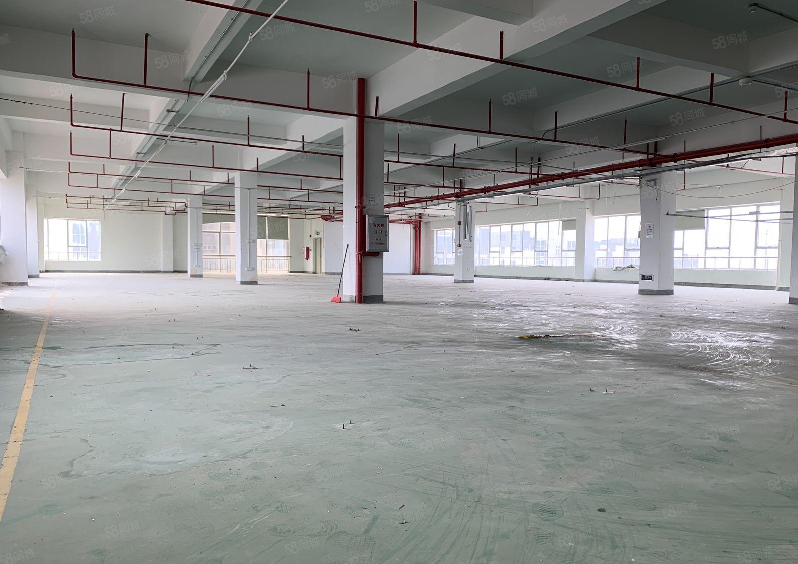 (10元)仲恺高新区红本厂房2000平形象好可申请补贴