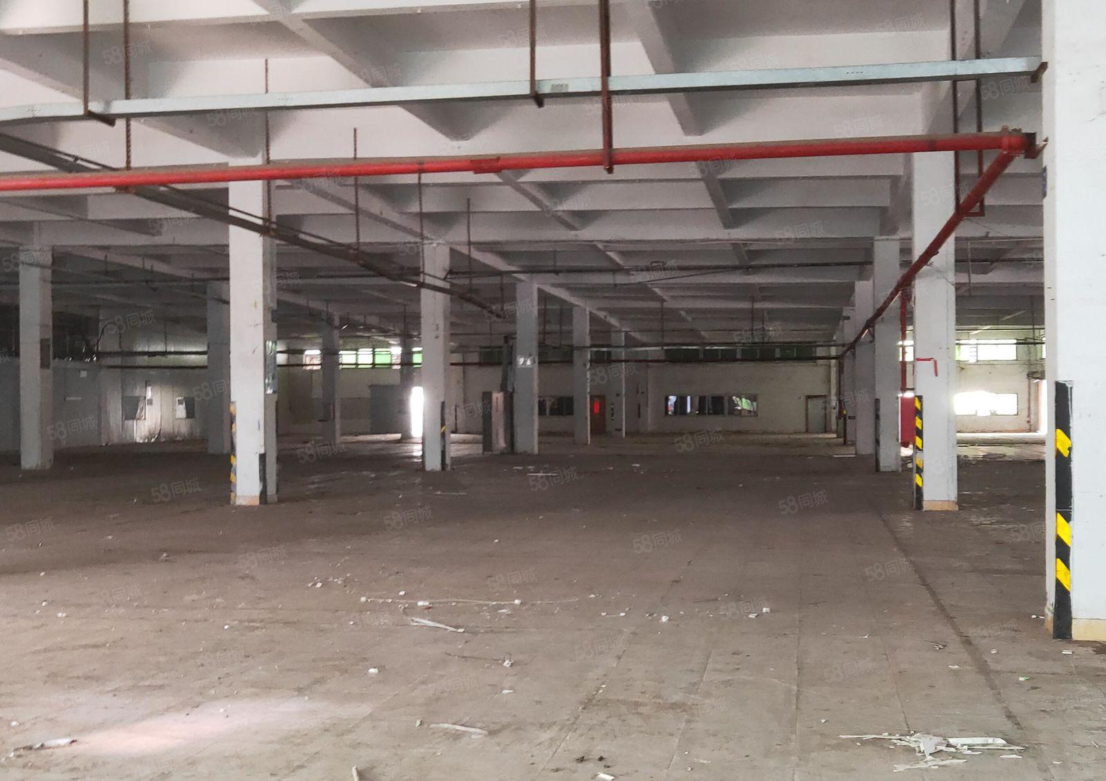 沥林路口原房东花园式厂房 一楼3000平米对外出租