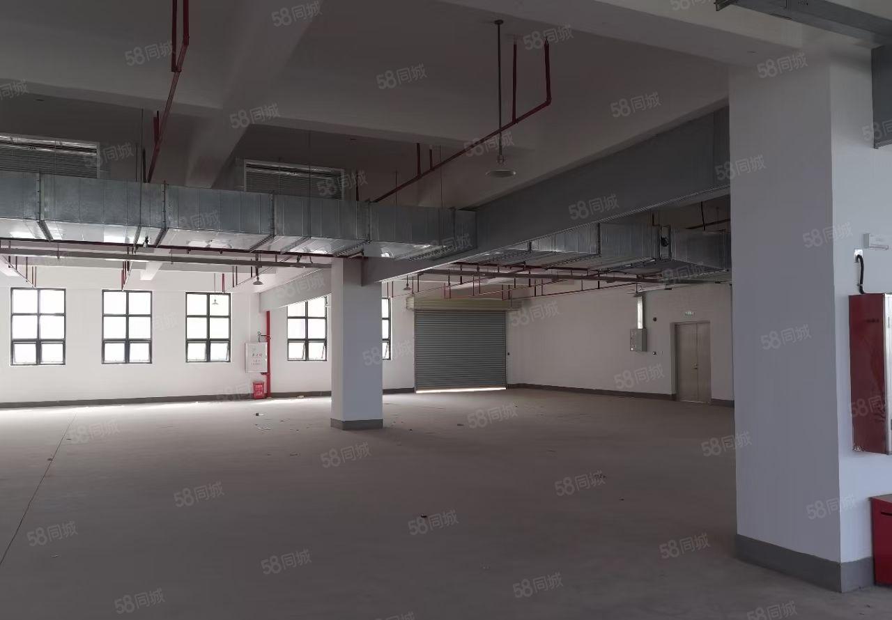 惠环镇标准9200平小独院厂房出租，空地大，有红本！价格便宜