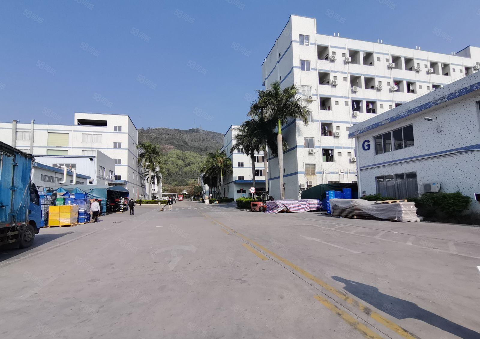 长深高速口国有工业生产厂房出租一次性拎包入驻大面积可选