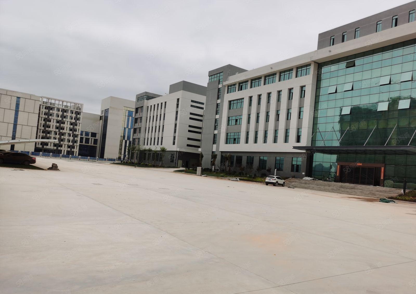 陈江东升工业区全新可做电池厂房46000平米招租，可分租